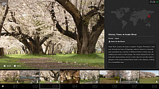 ���������꡼ No.025�Υ���ͥ������ / �֥����ġ��ꥹ��SPORT�ס����饷�å��������ꥢ��䥹���ѡ��ե����ߥ��ޥ���ʤ�5��ο���ξ���ɲä��륢�åץǡ��Ȥ�»�