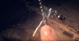 ���������꡼ No.008�Υ���ͥ������ / �֥��ʥ��ѡ��ե塼�꡼�פ��ۿ�����12��3�����ѹ�