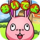 �ѥå�����