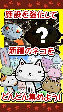 ねこばたけ