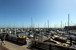 ꡼ No.020 | ֥Ϥαͺ׳ȯԥ󥿥ӥ塼Ѥ򥫥奢˳ڤȥΤȢɤγȯаޤʹ