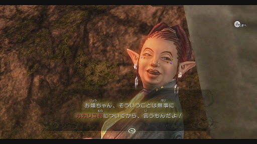 ꡼ No.029 | ֥ ȥ磻饤ȥץ󥻥 HDץץ쥤ݡȡHD줿ʥϥ򡤷ΤȽäĤλѤǶ