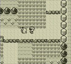 Vc版 ポケットモンスター 赤 緑 青 ピカチュウ 配信直前のカウントダウン特番がニコ生で明日18 00より配信