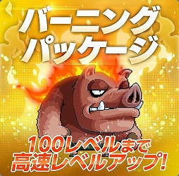 画像ギャラリー No.003のサムネイル画像 / 「メイプルストーリーM」で大型アップデートが実施。新職業英雄「ルミナス」や装備強化システム「魂の装備」などが登場