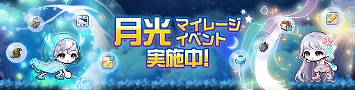 ꡼ No.022 | ֥ᥤץ륹ȡ꡼MסϤνѤͻ礷臘ȡȥɤ