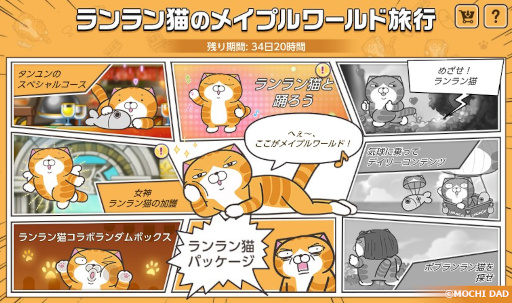 ꡼ No.002 | ֥ᥤץ륹ȡ꡼MסѤο͵֥ǭפȥ