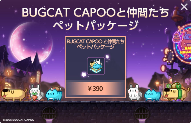 ꡼ No.017 | ֥ᥤץ륹ȡ꡼M6.5ǯǰåץǡȤ»ܡꥸʥ뿦ȡ֥롦饤ȡפ