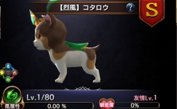 ꡼ No.003 | ֥ȥ󥰥ס緿åץǡȤξ3ơ֥ڥåȡפҲPV