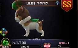 ꡼ No.004 | ֥ȥ󥰥ס緿åץǡȤξ3ơ֥ڥåȡפҲPV