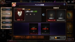 ꡼ No.005 | ֥ȥ󥰥ס緿åץǡȤξ3ơ֥ڥåȡפҲPV