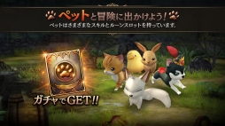 ꡼ No.008 | ֥ȥ󥰥ס緿åץǡȤξ3ơ֥ڥåȡפҲPV