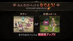 ꡼ No.010 | ֥ȥ󥰥ס緿åץǡȤξ3ơ֥ڥåȡפҲPV