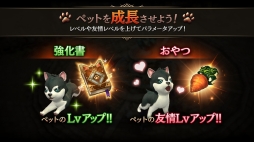 ꡼ No.011 | ֥ȥ󥰥ס緿åץǡȤξ3ơ֥ڥåȡפҲPV