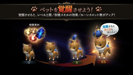 ꡼ No.012 | ֥ȥ󥰥ס緿åץǡȤξ3ơ֥ڥåȡפҲPV