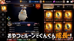 ꡼ No.013 | ֥ȥ󥰥ס緿åץǡȤξ3ơ֥ڥåȡפҲPV