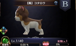 ꡼ No.018 | ֥ȥ󥰥ס緿åץǡȤξ3ơ֥ڥåȡפҲPV