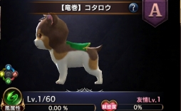 ꡼ No.019 | ֥ȥ󥰥ס緿åץǡȤξ3ơ֥ڥåȡפҲPV