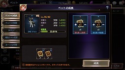 ꡼ No.005 | ֥ȥ󥰥סǽ֥ڥåȡפʤɤɲä緿åץǡȤ»