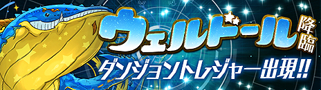 ���������꡼ No.005�Υ���ͥ������ / �֥���ۡ��ե����ƥ��Х�2017 ����ĥ����׺ǿ��ȥ쥸�㡼���󡣴��쥨�ꥢ�Ǥϡ֥���ͥ� ���ס��פΥȥ쥸�㡼���о�ͽ��