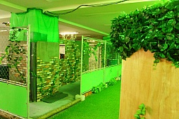 ꡼ No.026Υͥ / ֥롦֥֡󥹡פΥХ٥ȤݡȡʿΥ֥֥ʤǽͥȥǥηGoProαǤϤ