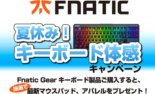 ���������꡼ No.001�Υ���ͥ������ / Fnatic Gear�������ܡ��ɹ����ǥޥ����ѥåɤʤɤ������륭���ڡ���