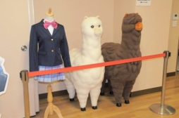 ꡼ No.030 | Τ㱤Ԥ줿֥֥饤֡եACפTCG֥פιƱ٥ȡֿ󥷥ספνݡ