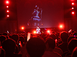 ���������꡼ No.030�Υ���ͥ������ / ��Τۤ��ۤ���������⡧��30�� �֥����ɥ�ޥ���������ǥ�饬���륺 WEB�饸����CINDERELLA PARTY!�ٸ���Ͽ���Ǥ�ä��礤���פ�������ݡ��ȡ��� �����졪����