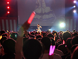 ���������꡼ No.031�Υ���ͥ������ / ��Τۤ��ۤ���������⡧��30�� �֥����ɥ�ޥ���������ǥ�饬���륺 WEB�饸����CINDERELLA PARTY!�ٸ���Ͽ���Ǥ�ä��礤���פ�������ݡ��ȡ��� �����졪����