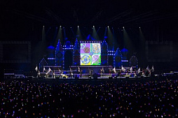 ꡼ No.007 | Τۤۤ⡧39 ֡إɥޥ ǥ饬륺5th饤Ųݡ ҤΥ󥳤ˤʤäī֤Ϥáפ֤¸ߤˤʤꤿ