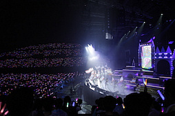 ꡼ No.010 | Τۤۤ⡧40֡إɥޥ ǥ饬륺5th饤ĥݡȡʤɬΥǥԥƥ