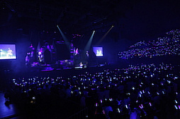 ꡼ No.023 | Τۤۤ⡧40֡إɥޥ ǥ饬륺5th饤ĥݡȡʤɬΥǥԥƥ