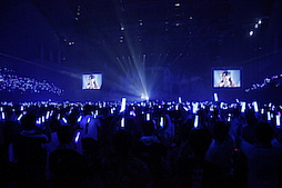 ꡼ No.024 | Τۤۤ⡧40֡إɥޥ ǥ饬륺5th饤ĥݡȡʤɬΥǥԥƥ