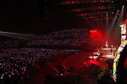 ꡼ No.032 | Τۤۤ⡧40֡إɥޥ ǥ饬륺5th饤ĥݡȡʤɬΥǥԥƥ