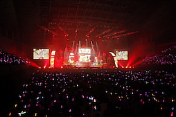 ꡼ No.034 | Τۤۤ⡧40֡إɥޥ ǥ饬륺5th饤ĥݡȡʤɬΥǥԥƥ