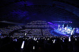 ꡼ No.048 | Τۤۤ⡧40֡إɥޥ ǥ饬륺5th饤ĥݡȡʤɬΥǥԥƥ