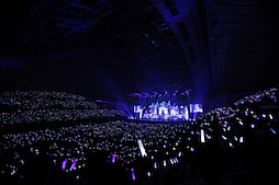 ꡼ No.049 | Τۤۤ⡧40֡إɥޥ ǥ饬륺5th饤ĥݡȡʤɬΥǥԥƥ