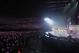 ꡼ No.079 | Τۤۤ⡧40֡إɥޥ ǥ饬륺5th饤ĥݡȡʤɬΥǥԥƥ