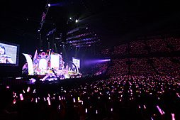 ꡼ No.008 | Τۤۤ⡧43֡إɥޥ ǥ饬륺5th饤SSAݡ ⤷λؤȥ饪󥸤ʤޤƤ