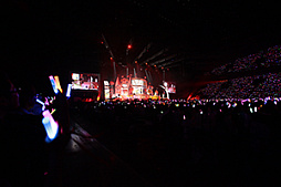 ꡼ No.011 | Τۤۤ⡧43֡إɥޥ ǥ饬륺5th饤SSAݡ ⤷λؤȥ饪󥸤ʤޤƤ