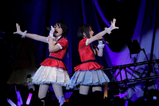 ���������꡼ No.006�Υ���ͥ������ / ��Τۤ��ۤ���������⡧��83��֡إ���ӥ��ɥ���LIVE�٥�ݡ��ȡ�