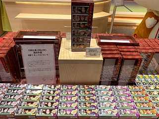 画像ギャラリー No.021のサムネイル画像 / 結のほえほえゲーム演説:第100回「徹底攻略! 渋谷PARCOのゲームフロア!」