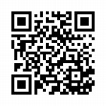 ꡼ No.012 | ǲιפθǰץ쥼ȥڡDD POINTβ˳