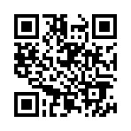 ꡼ No.013 | ǲιפθǰץ쥼ȥڡDD POINTβ˳