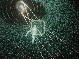 ꡼ No.003 | VRοܻؤRezפμ¸ץȤưҤ̣äڤ롤ʥɡ෿꡼Ȥä٥Ȥݡ