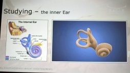 ���������꡼ No.005�Υ���ͥ������ / ��GDC 2017�ϡ�Eagle Flight�פ�Ķ��®��VR���֤����֤���˵���Ĥ��Ƥ��뤳��