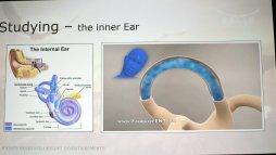 ���������꡼ No.006�Υ���ͥ������ / ��GDC 2017�ϡ�Eagle Flight�פ�Ķ��®��VR���֤����֤���˵���Ĥ��Ƥ��뤳��