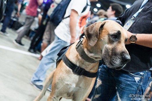 ꡼ No.038 | EVO2016ϥݥ÷꤬ܿͤͥŴ7FRϴڹSaintꡤޥ֥Wii UϥʥAlly꤬ͥǮ³EVO2ܤޤȤ