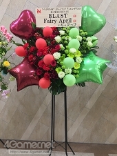 ꡼ No.019 | ֥Хɤץɥ꡼ޥå ǥ奨롦2018 ա[] SHUN-EN饤֥ݡȡʤꥳȤ⤪Ϥ