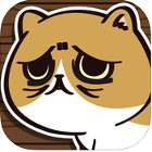 �ѥå�����