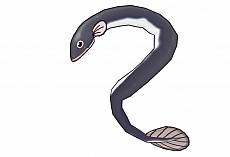 ꡼ No.037 | ֥Хåȥ륺2פǤϹܿ夬ץ쥤֥ˡ֤䤦ʤʤɿ䥢ƥ¿о